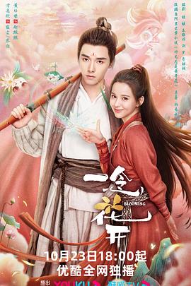 SEO优化知识偶像软件